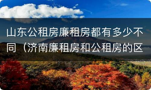 山东公租房廉租房都有多少不同（济南廉租房和公租房的区别）