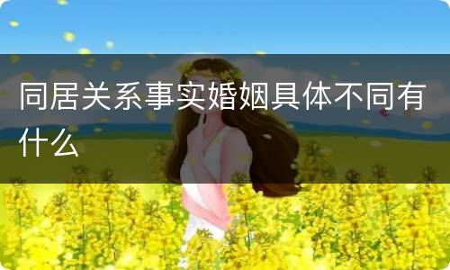 同居关系事实婚姻具体不同有什么