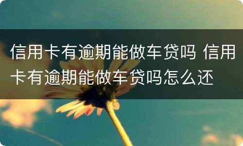 信用卡有逾期能做车贷吗 信用卡有逾期能做车贷吗怎么还