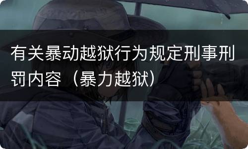 有关暴动越狱行为规定刑事刑罚内容（暴力越狱）