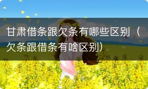 甘肃借条跟欠条有哪些区别（欠条跟借条有啥区别）