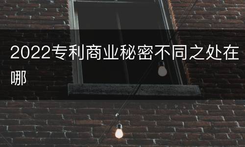 2022专利商业秘密不同之处在哪
