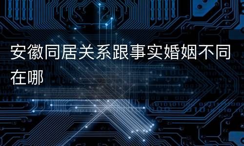安徽同居关系跟事实婚姻不同在哪