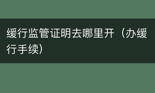 缓行监管证明去哪里开（办缓行手续）