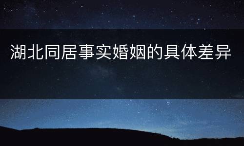 湖北同居事实婚姻的具体差异