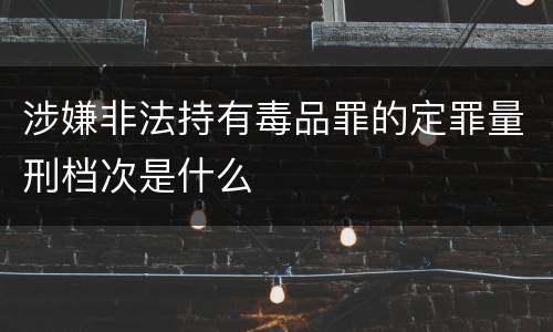 涉嫌非法持有毒品罪的定罪量刑档次是什么