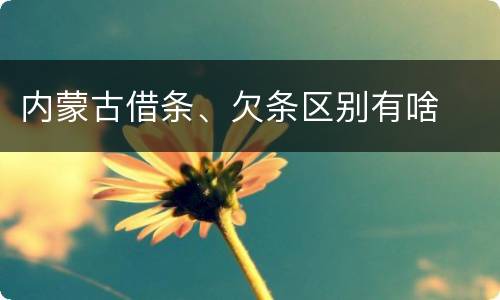 内蒙古借条、欠条区别有啥