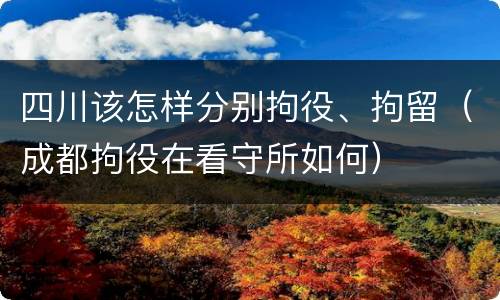 四川该怎样分别拘役、拘留（成都拘役在看守所如何）