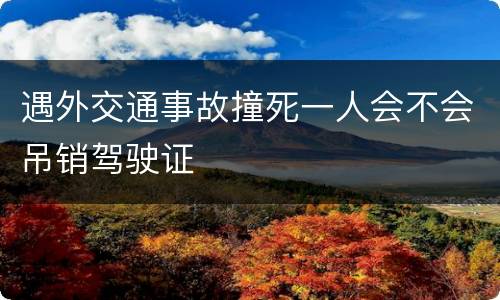 遇外交通事故撞死一人会不会吊销驾驶证