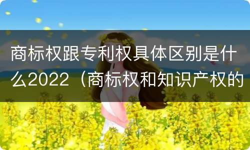 商标权跟专利权具体区别是什么2022（商标权和知识产权的区别）