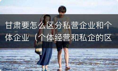 甘肃要怎么区分私营企业和个体企业（个体经营和私企的区别）