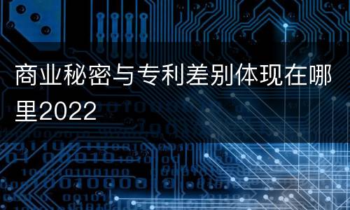 商业秘密与专利差别体现在哪里2022