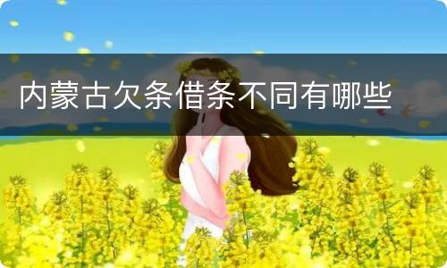 内蒙古欠条借条不同有哪些