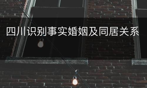 四川识别事实婚姻及同居关系