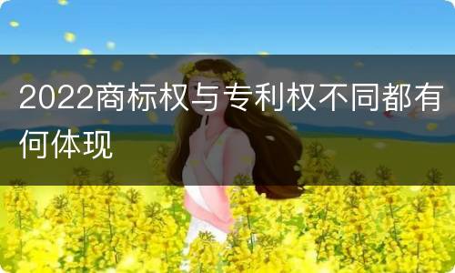 2022商标权与专利权不同都有何体现
