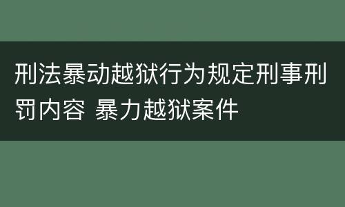 刑法暴动越狱行为规定刑事刑罚内容 暴力越狱案件