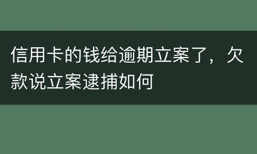 信用卡的钱给逾期立案了，欠款说立案逮捕如何