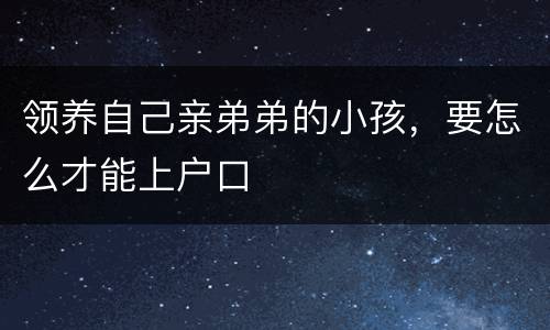 领养自己亲弟弟的小孩，要怎么才能上户口