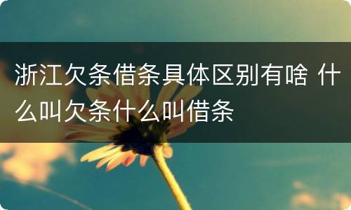 浙江欠条借条具体区别有啥 什么叫欠条什么叫借条