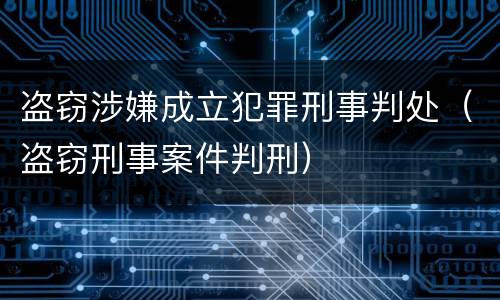 盗窃涉嫌成立犯罪刑事判处（盗窃刑事案件判刑）