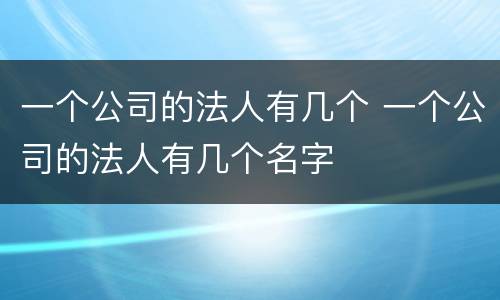 一个公司的法人有几个 一个公司的法人有几个名字