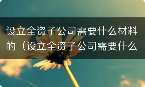 设立全资子公司需要什么材料的（设立全资子公司需要什么材料的审计报告）