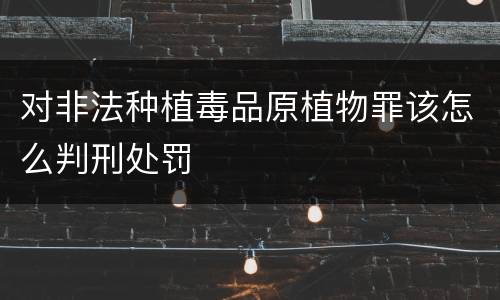 对非法种植毒品原植物罪该怎么判刑处罚