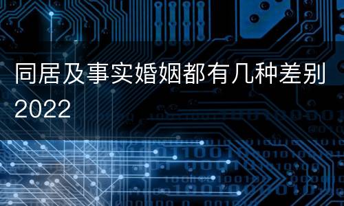 同居及事实婚姻都有几种差别2022