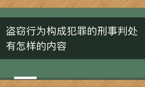 盗窃行为构成犯罪的刑事判处有怎样的内容