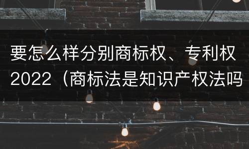 要怎么样分别商标权、专利权2022（商标法是知识产权法吗）