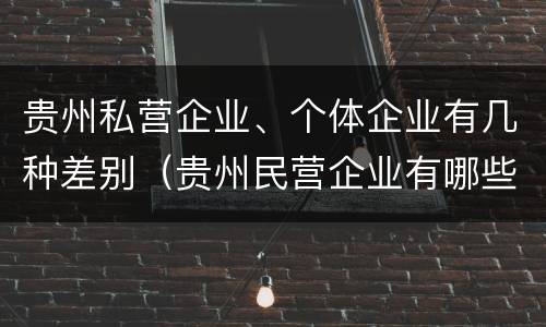 贵州私营企业、个体企业有几种差别（贵州民营企业有哪些）
