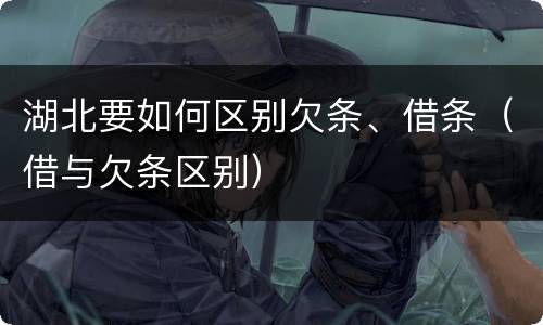 湖北要如何区别欠条、借条（借与欠条区别）