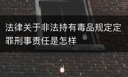 法律关于非法持有毒品规定定罪刑事责任是怎样