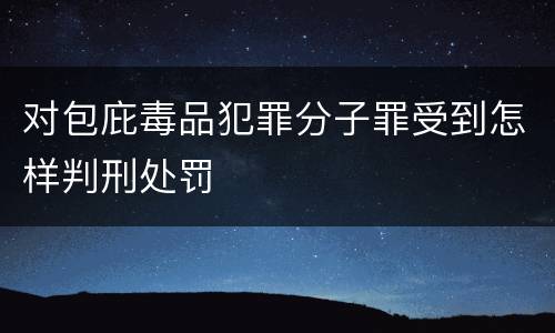 对包庇毒品犯罪分子罪受到怎样判刑处罚