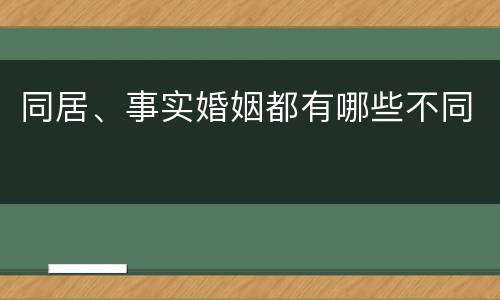 同居、事实婚姻都有哪些不同