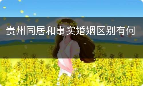 贵州同居和事实婚姻区别有何