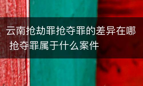 云南抢劫罪抢夺罪的差异在哪 抢夺罪属于什么案件