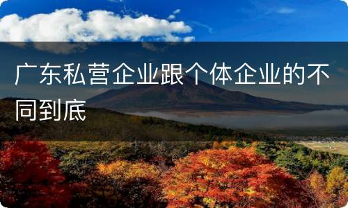 广东私营企业跟个体企业的不同到底