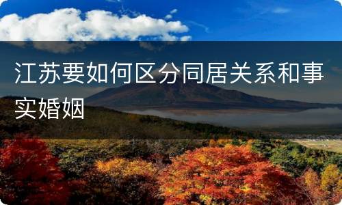 江苏要如何区分同居关系和事实婚姻