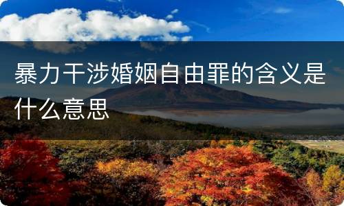 暴力干涉婚姻自由罪的含义是什么意思