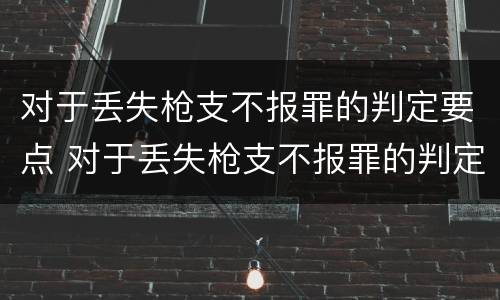 对于丢失枪支不报罪的判定要点 对于丢失枪支不报罪的判定要点是什么
