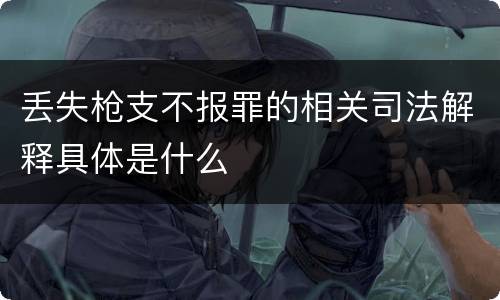 丢失枪支不报罪的相关司法解释具体是什么