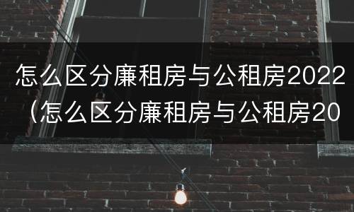 怎么区分廉租房与公租房2022（怎么区分廉租房与公租房2022区别）