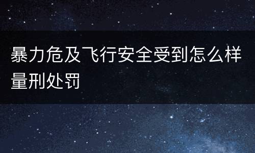 暴力危及飞行安全受到怎么样量刑处罚