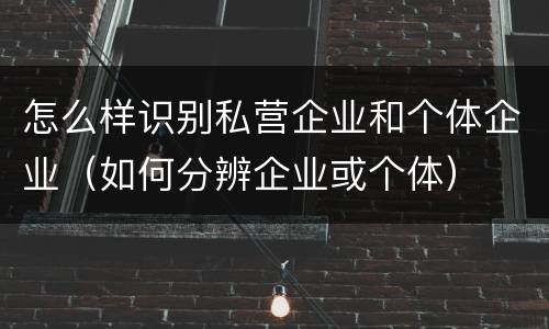 怎么样识别私营企业和个体企业（如何分辨企业或个体）