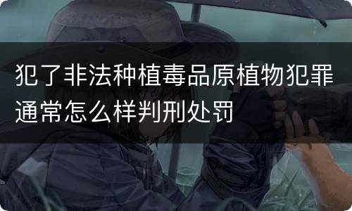 犯了非法种植毒品原植物犯罪通常怎么样判刑处罚