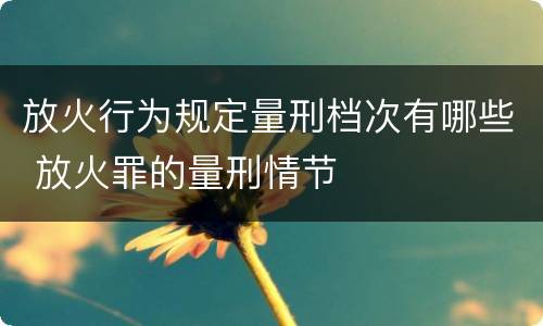 放火行为规定量刑档次有哪些 放火罪的量刑情节