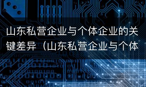 山东私营企业与个体企业的关键差异（山东私营企业与个体企业的关键差异是）