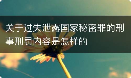 关于过失泄露国家秘密罪的刑事刑罚内容是怎样的