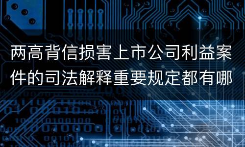 两高背信损害上市公司利益案件的司法解释重要规定都有哪些